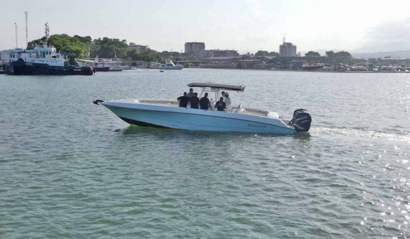 
								WELLCRAFT SCARAB 35 full									