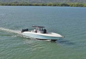 WELLCRAFT SCARAB 35