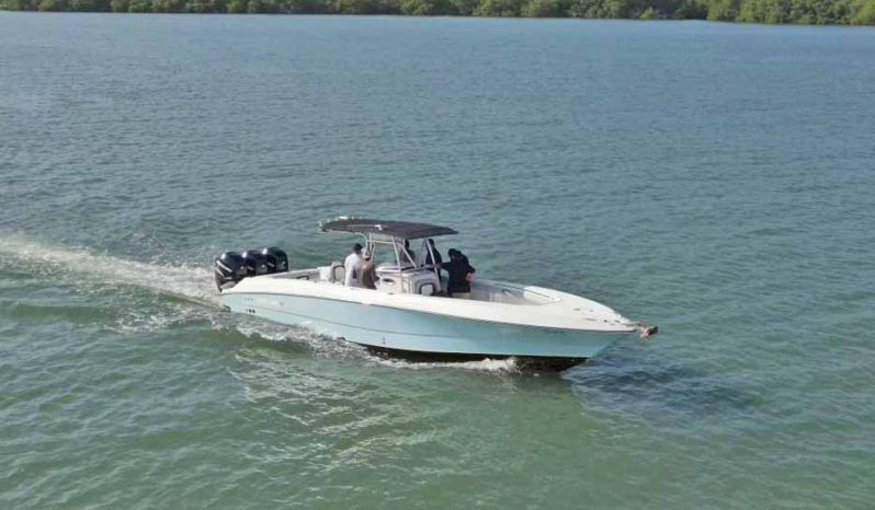 
								WELLCRAFT SCARAB 35 full									