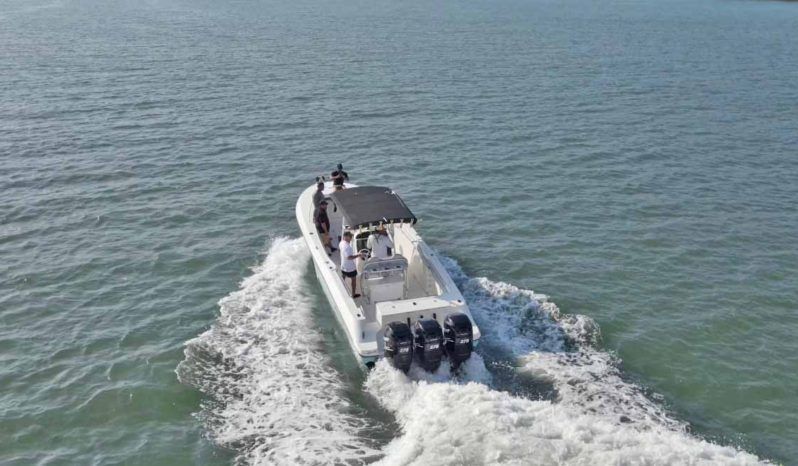 
								WELLCRAFT SCARAB 35 full									