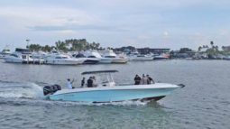 
										WELLCRAFT SCARAB 35 full									