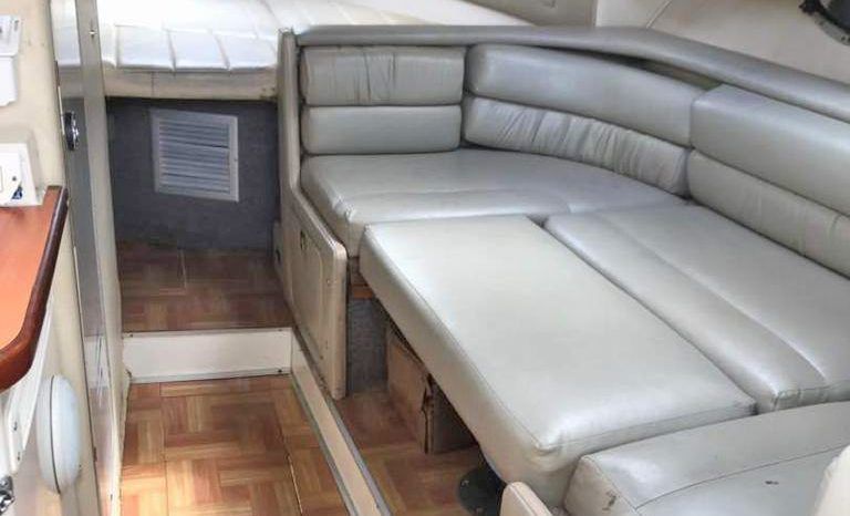 
								CHAPARRAL SIGNATURE 31 full									