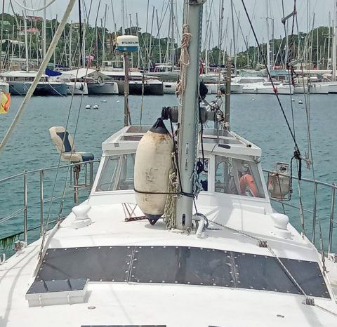 
								VELERO MONOCASCO 42 full									