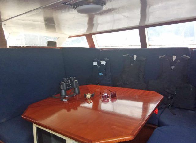 
								VELERO MONOCASCO 42 full									