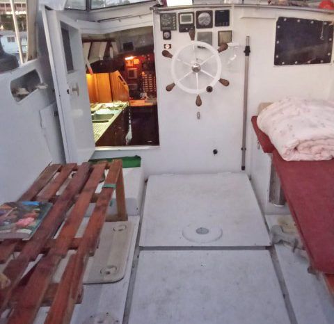 
								VELERO MONOCASCO 42 full									