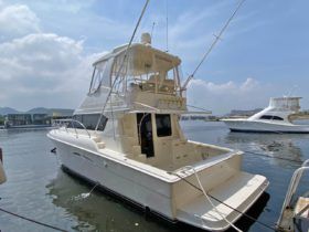 SILVERTON 42