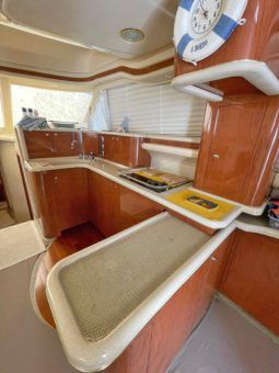 SEA RAY SEDAN BRIDGE 48 full