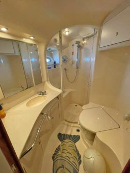 SEA RAY SEDAN BRIDGE 48 full