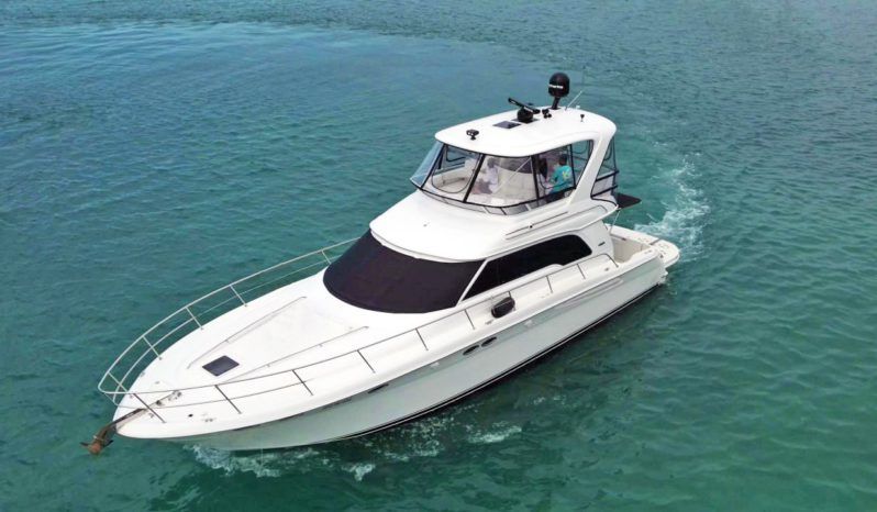 SEA RAY SEDAN BRIDGE 48 full