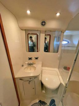 SEA RAY SEDAN BRIDGE 48 full