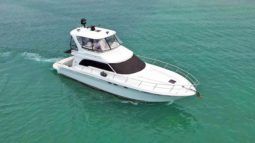 SEA RAY SEDAN BRIDGE 48 full