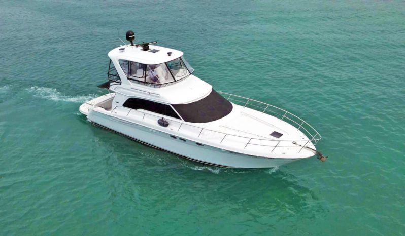 SEA RAY SEDAN BRIDGE 48 full