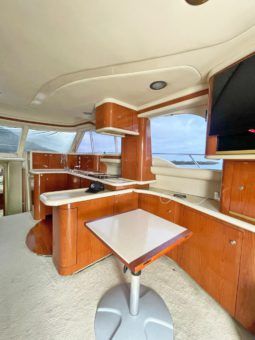 SEA RAY SEDAN BRIDGE 48 full
