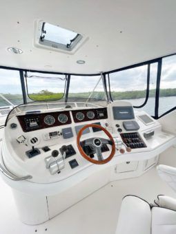 SEA RAY SEDAN BRIDGE 48 full