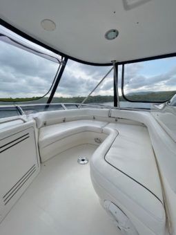 SEA RAY SEDAN BRIDGE 48 full