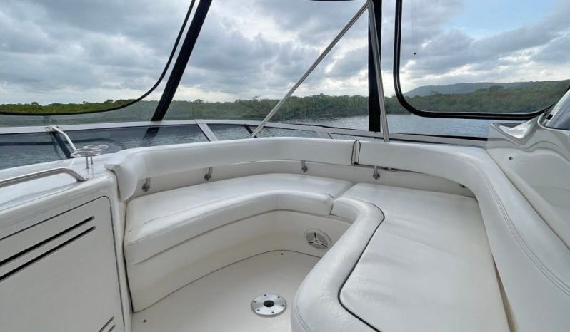 SEA RAY SEDAN BRIDGE 48 full