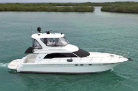 SEA RAY SEDAN BRIDGE 48