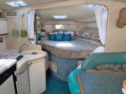 
										SEA RAY SUNDANCER 330 33 full									