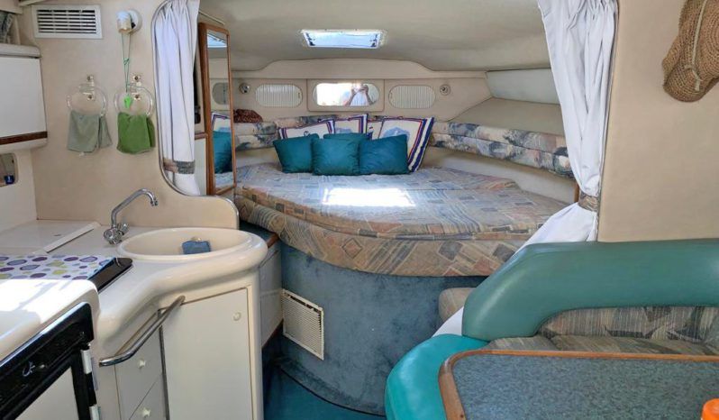 
								SEA RAY SUNDANCER 330 33 full									
