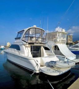
										SEA RAY SEDAN BRIDGE 48 full									
