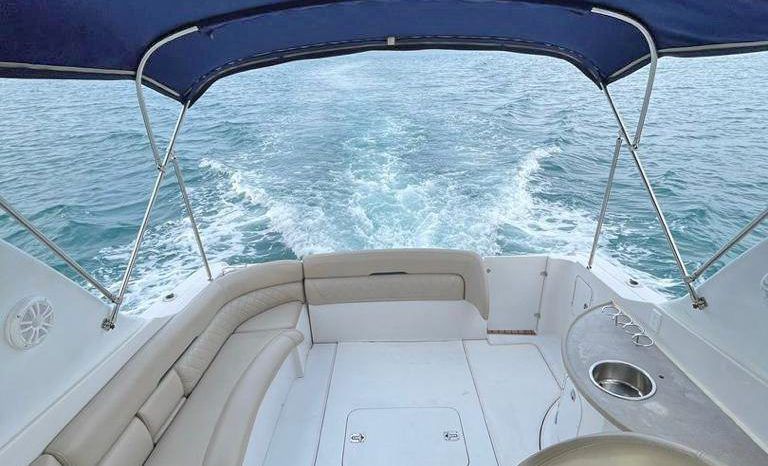 
								FOUR WINNS 378 VISTA 38 full									