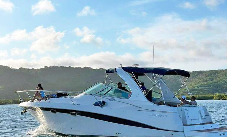 
								FOUR WINNS 378 VISTA 38 full									