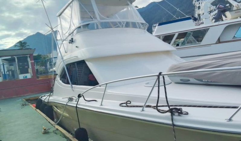 
								RIVIERA 40 full									