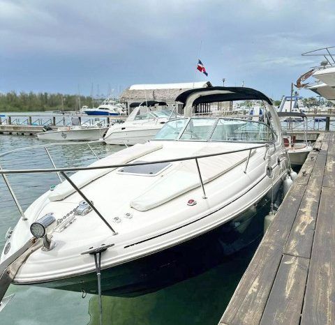 
								SEA RAY SUNDANCER 280 28 full									