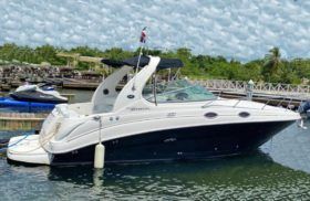 SEA RAY SUNDANCER 280 28