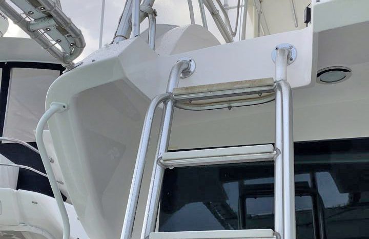 
								BERTRAM CONVERTIBLE 51 full									