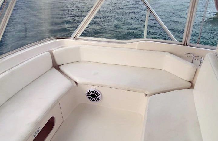 
								BERTRAM CONVERTIBLE 51 full									