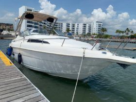 WELLCRAFT EXCEL 26