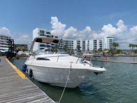 WELLCRAFT EXCEL 26
