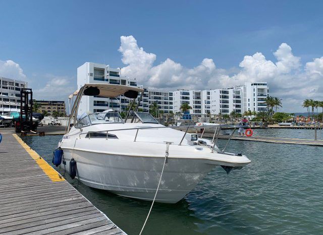 
								WELLCRAFT EXCEL 26 full									