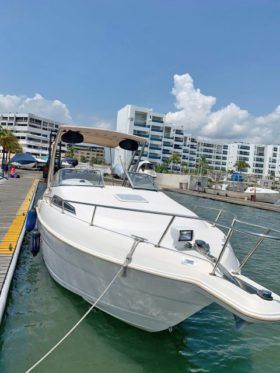 WELLCRAFT EXCEL 26
