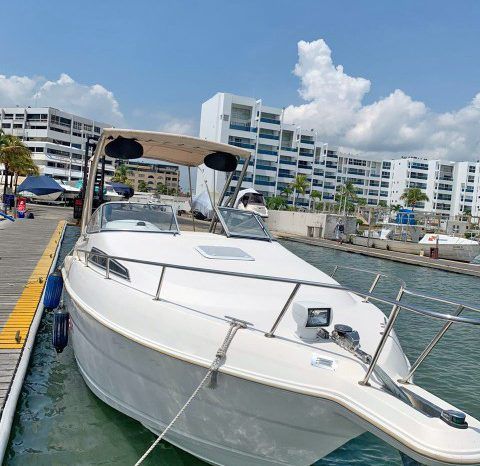 
								WELLCRAFT EXCEL 26 full									