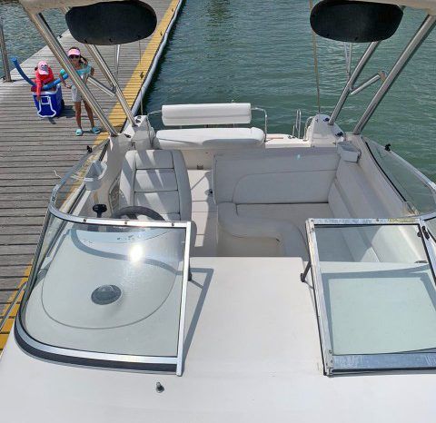 
								WELLCRAFT EXCEL 26 full									