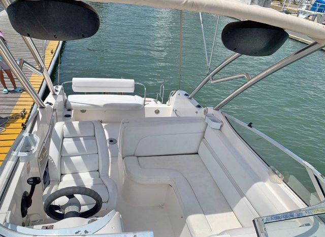 
								WELLCRAFT EXCEL 26 full									