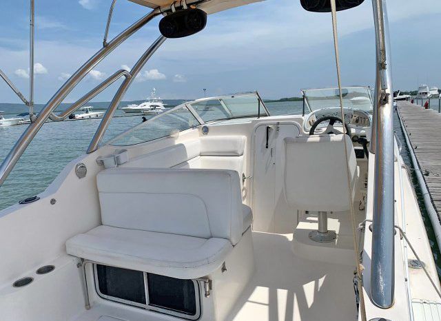 
								WELLCRAFT EXCEL 26 full									