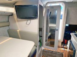 
										WELLCRAFT EXCEL 26 full									