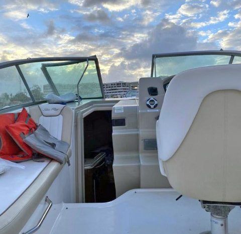 
								SEA RAY SUNDANCER 240 24 full									