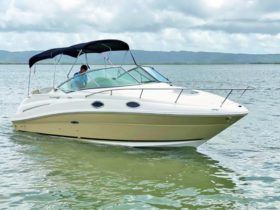 SEA RAY SUNDANCER 240 24