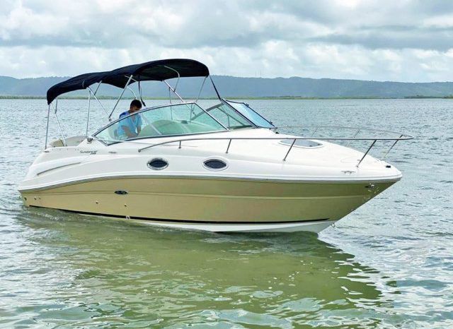
								SEA RAY SUNDANCER 240 24 full									