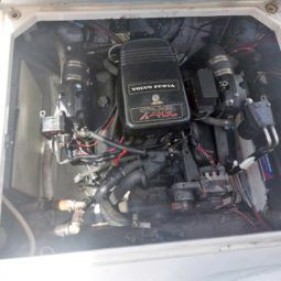 
										WELLCRAFT EXCEL 26 full									