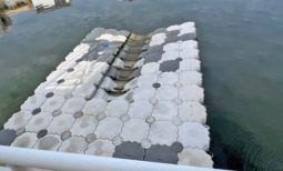 
										MUELLE FLOTANTE 17 PIES full									