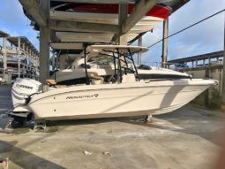 PROMARINE OPEN 24 full