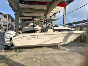 PROMARINE OPEN 24