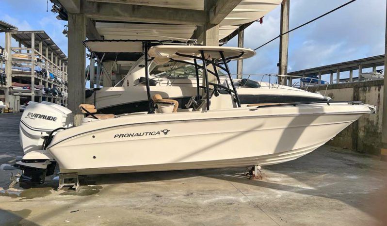 PROMARINE OPEN 24 full