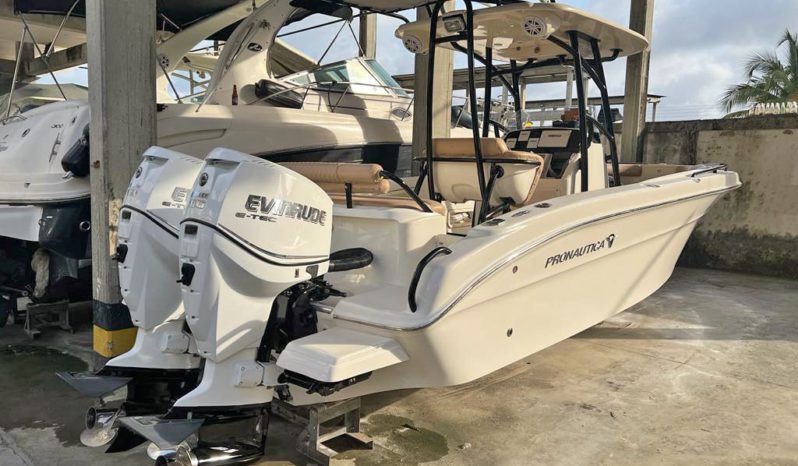 PROMARINE OPEN 24 full