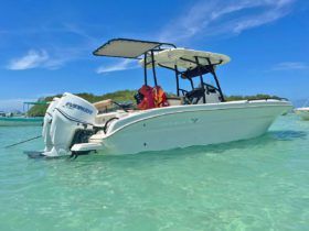 PROMARINE OPEN 24